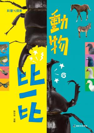 動物比一比