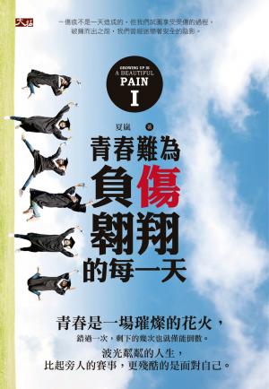 青春難為：負傷翱翔的每一天