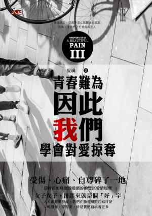青春難為3：因此我們學會對愛掠奪