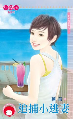追捕小逃妻～夏日大作戰之一