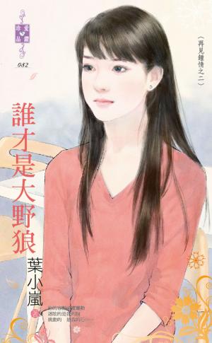 誰才是大野狼～再見鍾情之二
