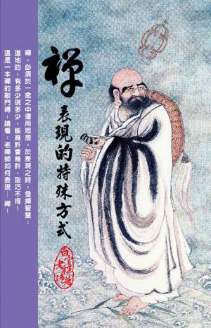 禪表現的特殊方式