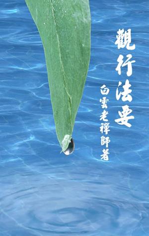 觀行法要