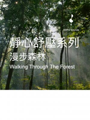 漫步森林--靜心舒壓系列