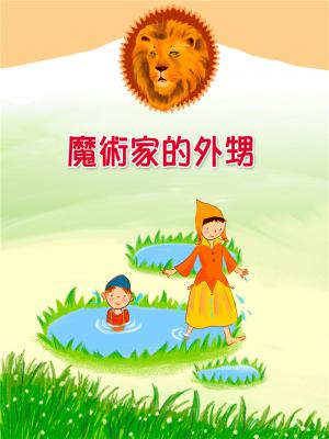 魔術家的外甥