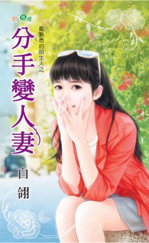 最熟悉的陌生人之《分手變人妻》 