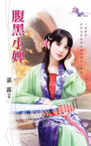 《腹黑小婢》