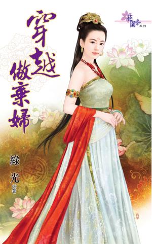 穿越是這麼玩的之《穿越做棄婦》