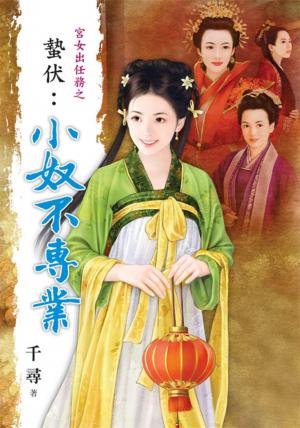 宮女出任務之《蟄伏：小奴不專業》