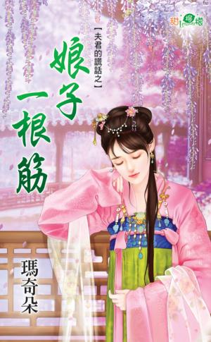 夫君的謊話之《娘子一根筋》