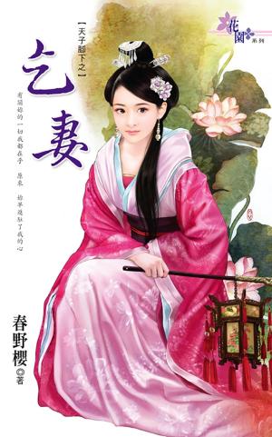 天子腳下之《乞妻》