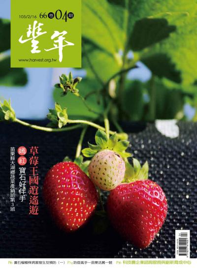 豐年 105/02/16 第66卷04期 草莓王國逍遙遊