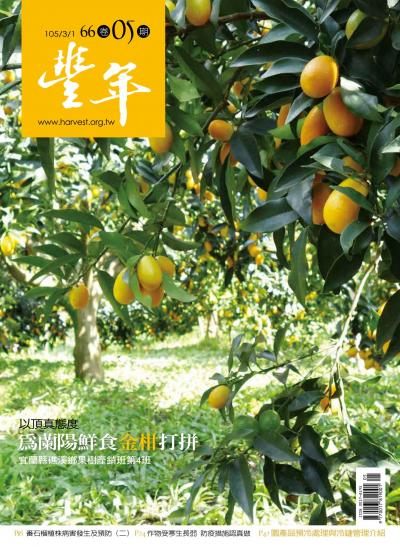 豐年 105/03/01 第66卷05期 為蘭陽鮮食金柑打拼