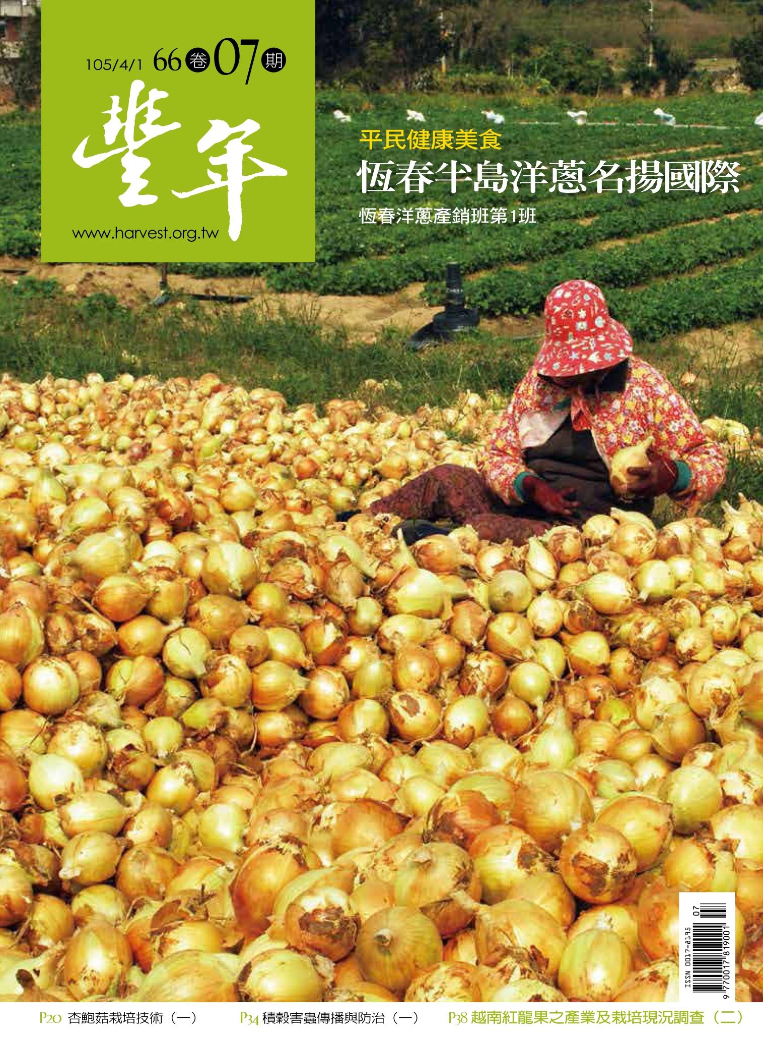 豐年 105/04/01 第66卷07期 平民健康美食 恆春半島洋蔥名揚國際  恆春洋蔥產銷班第1班