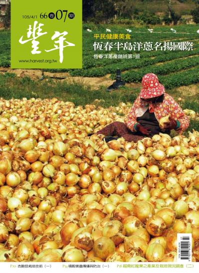 豐年 105/04/01 第66卷07期 平民健康美食 恆春半島洋蔥名揚國際 恆春洋蔥產銷班第1班