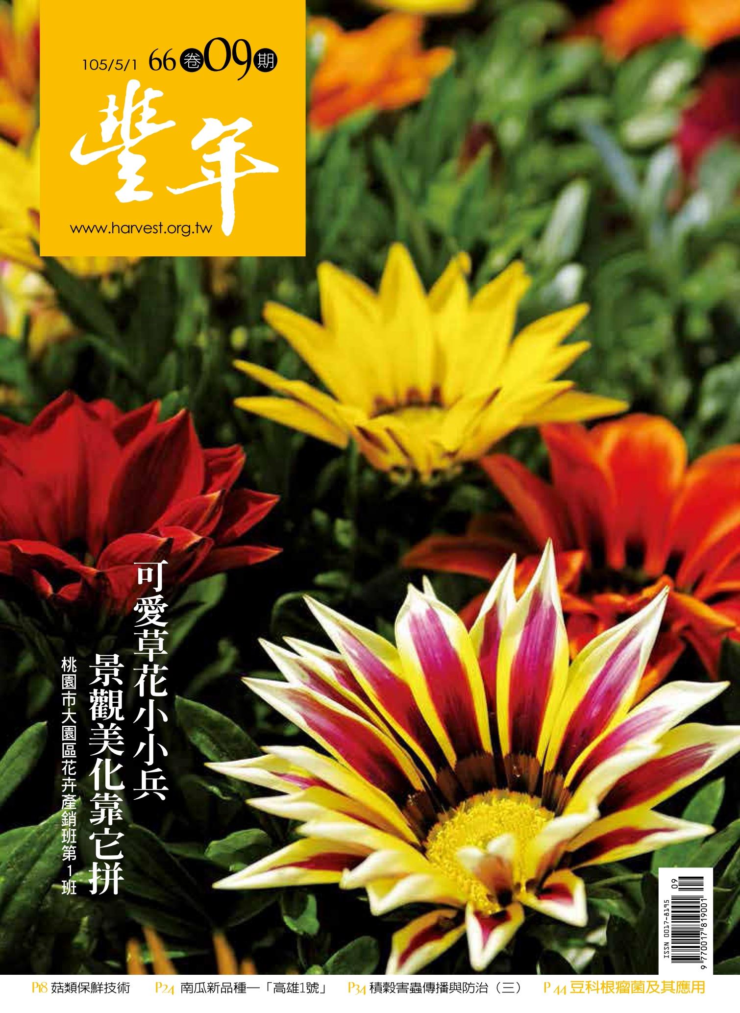 豐年 105/05/01 第66卷09期 可愛草花小小兵  景觀美化靠它拼  桃園市大園區花卉產銷班第1班