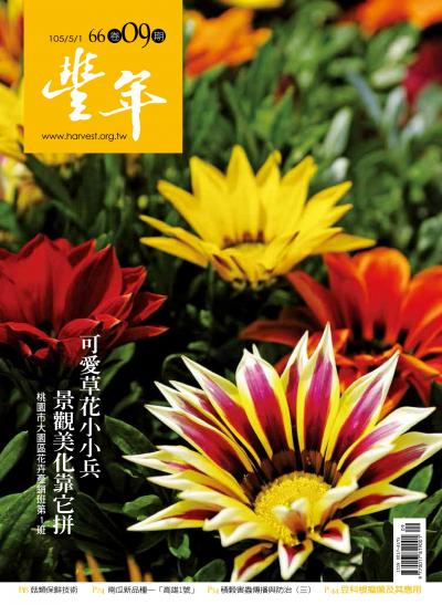 豐年 105/05/01 第66卷09期 可愛草花小小兵 景觀美化靠它拼 桃園市大園區花卉產銷班第1班