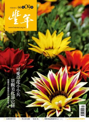 豐年 105/05/01 第66卷09期 可愛草花小小兵  景觀美化靠它拼  桃園市大園區花卉產銷班第1班