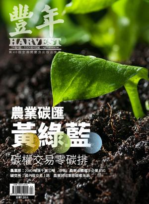 豐年 2024年4月
