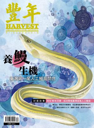 豐年 2024年12月 養鰻生機 臺灣第一尾人工鰻苗問世