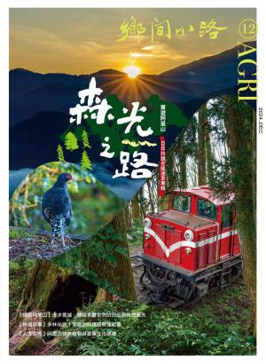 鄉間小路 2024年12月號：森光之路