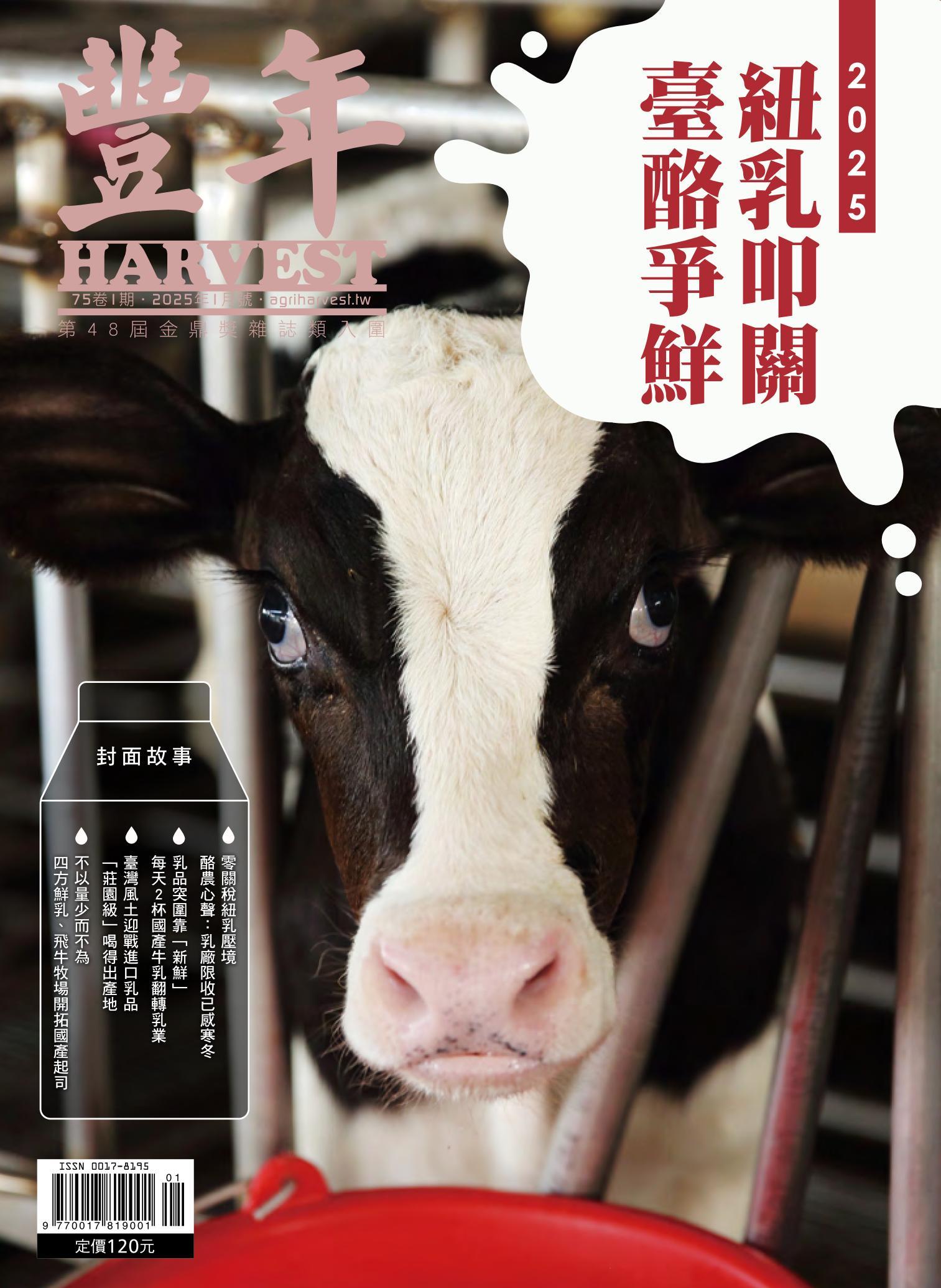豐年 2025年1月 紐乳叩關 臺酪爭鮮