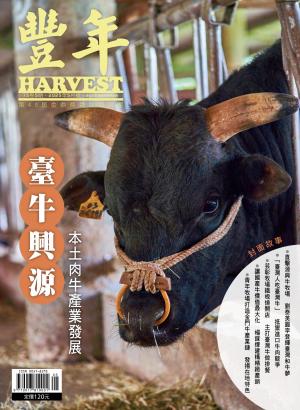 豐年 2025年5月 臺牛興源 本土肉牛產業發展