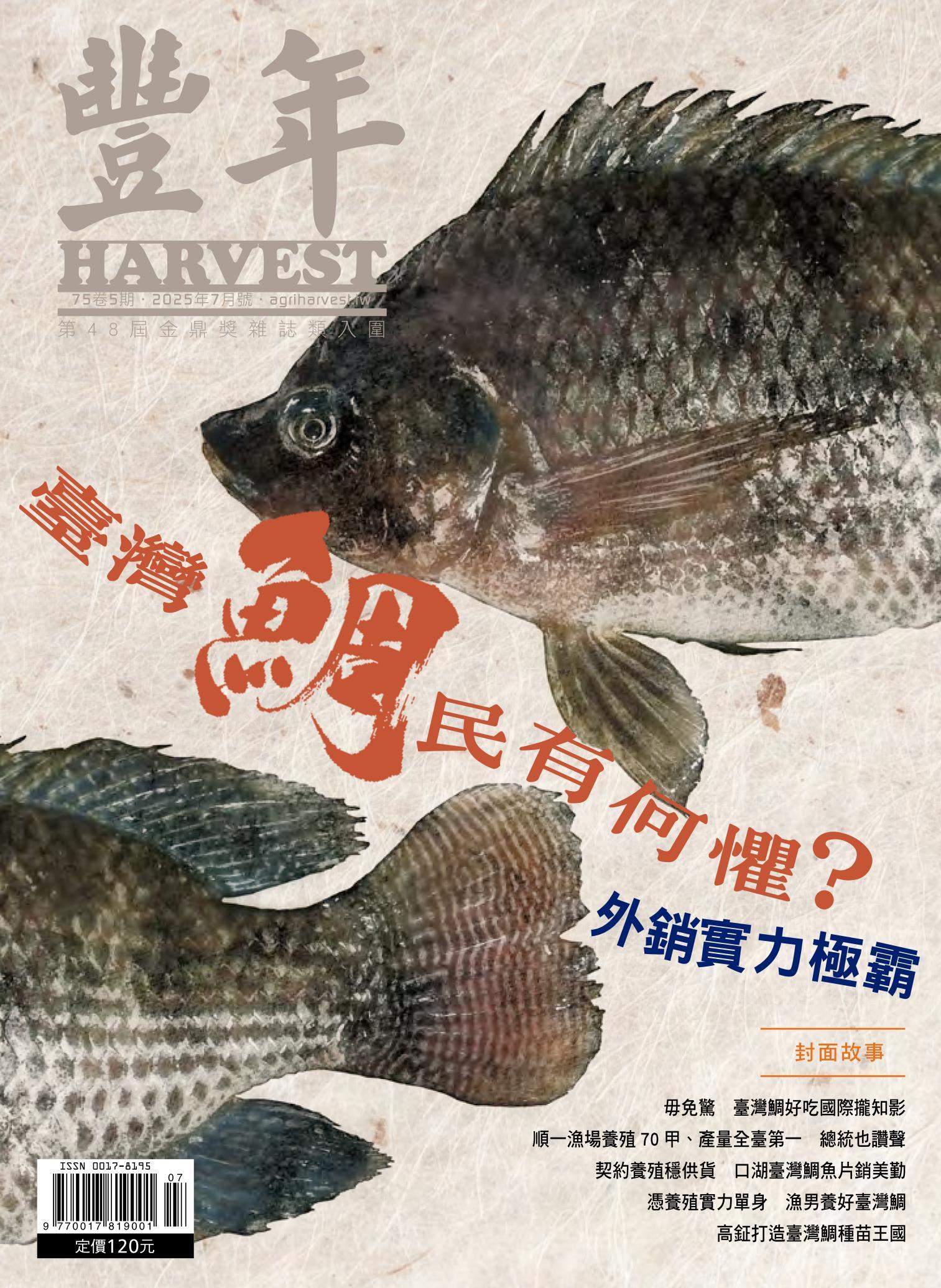豐年 2025年7月 臺灣鯛民有何懼？ 外銷實力極霸