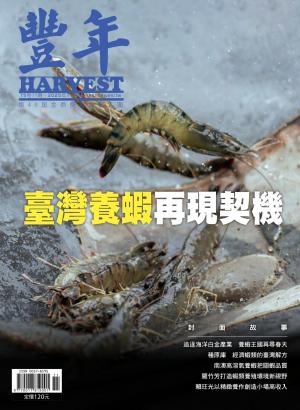 豐年 2025年11月 臺灣養蝦再現契機