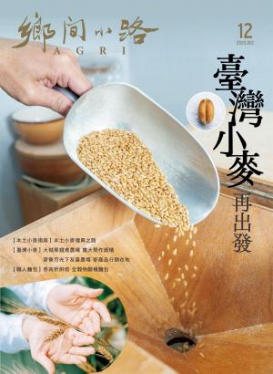鄉間小路 2025年12月號：臺灣小麥再出發