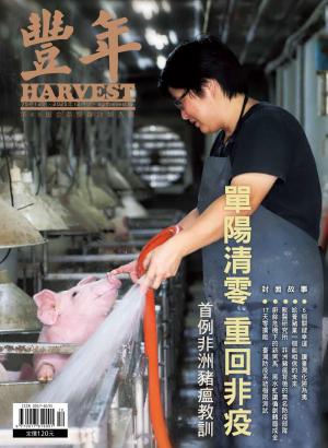豐年 2025年12月 單陽清零 重回非疫 首例非洲豬瘟教訓