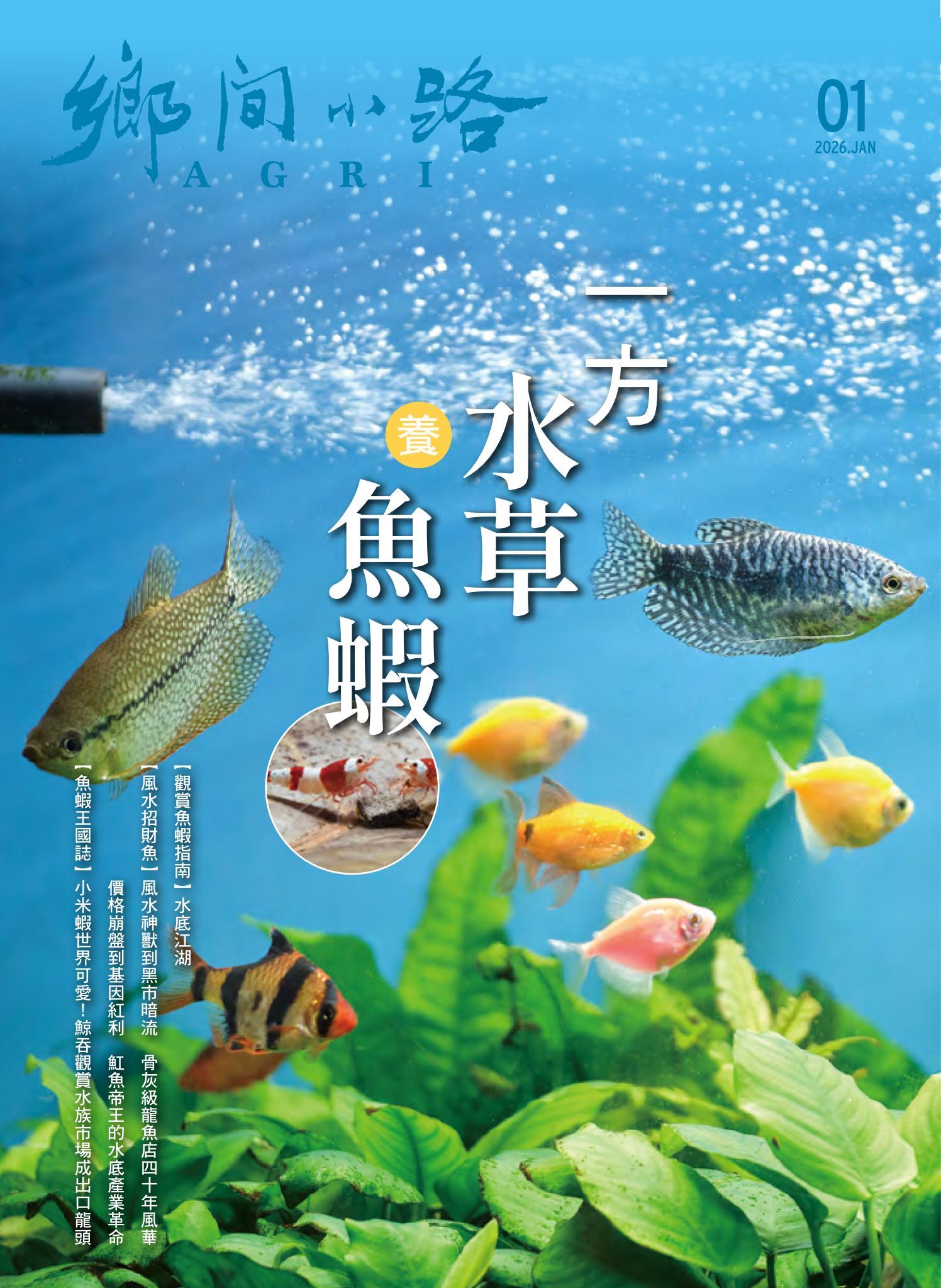 鄉間小路 2026年1月號：一方水草養魚蝦