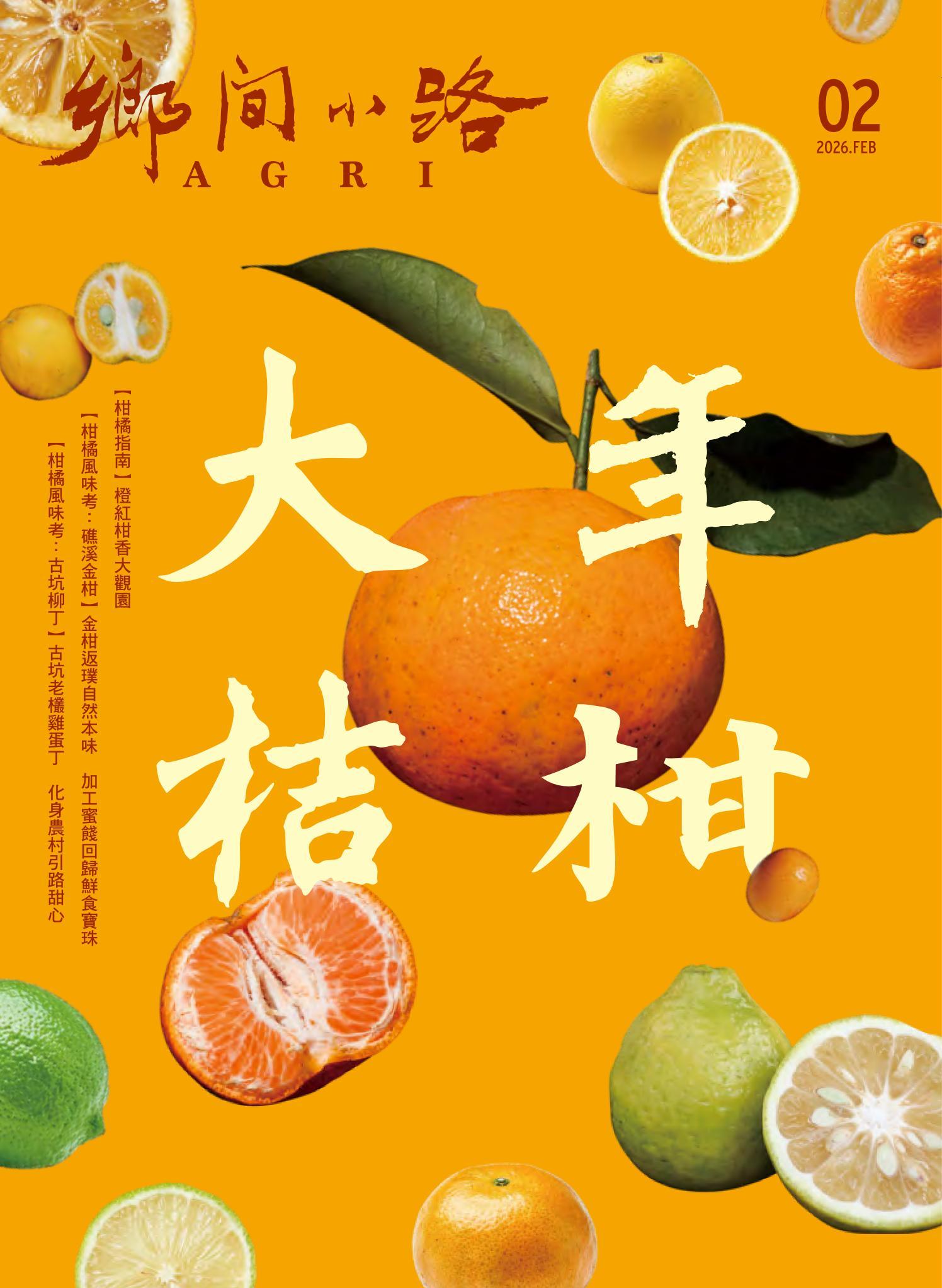 鄉間小路 2026年2月號：年柑大桔