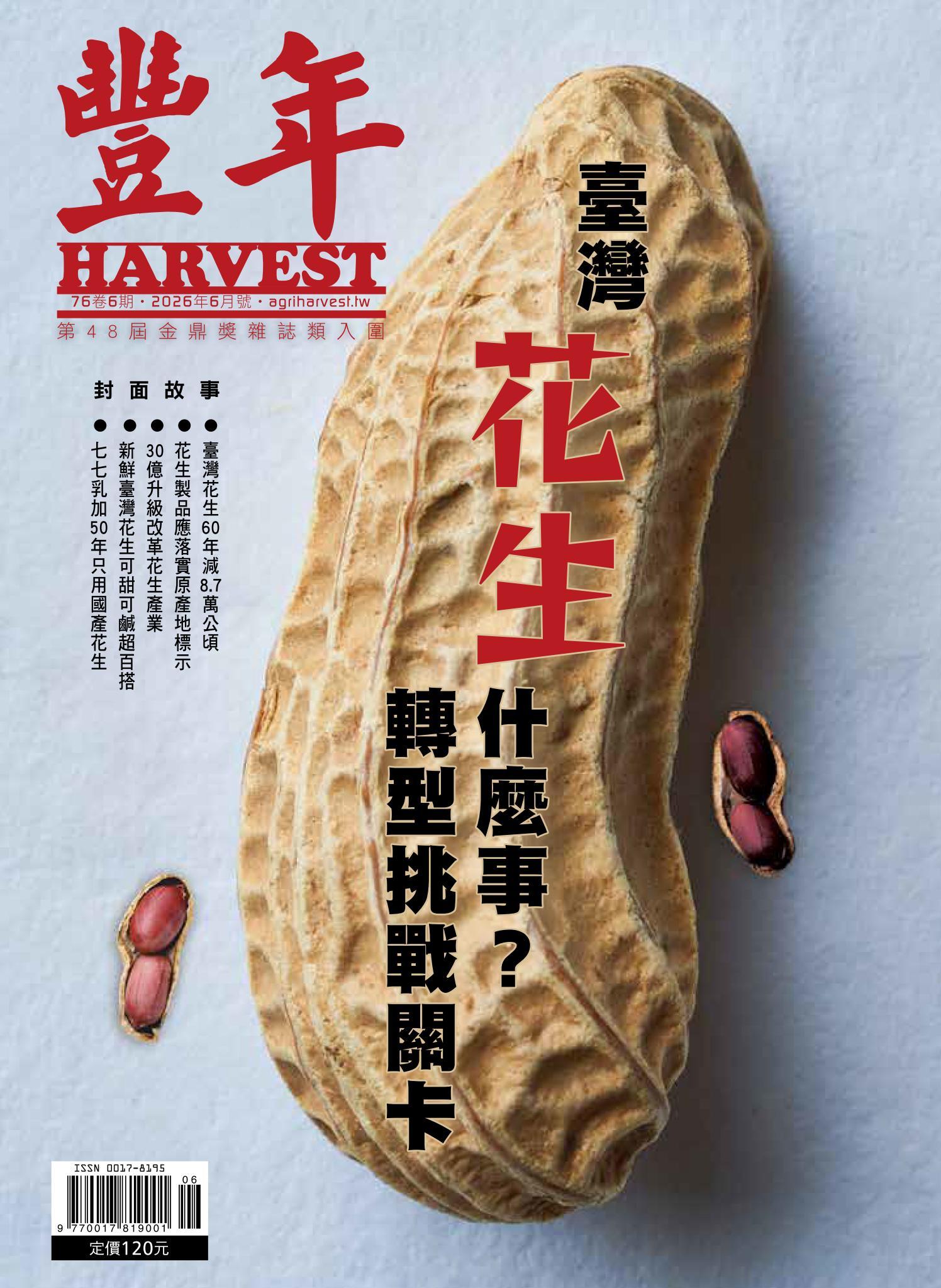 豐年 2026年6月 臺灣花生什麼事　轉型挑戰卡關