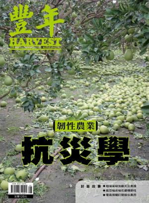 豐年2026/8月 第7608期
