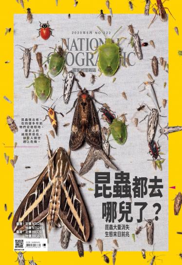 國家地理雜誌第222期