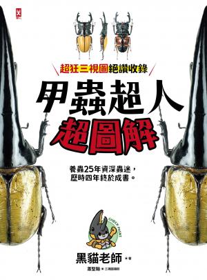 甲蟲超人超圖解