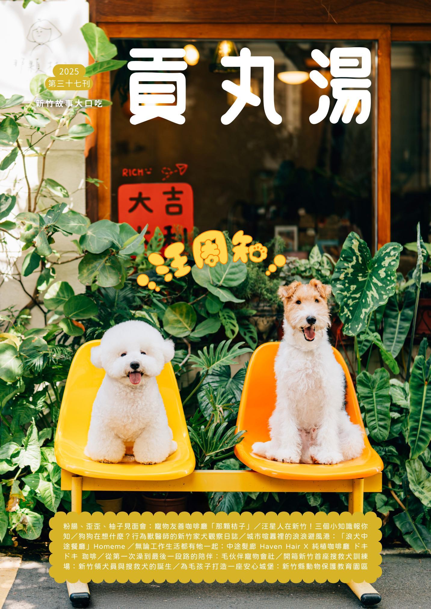 貢丸湯vol.37