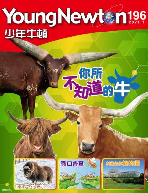 少年牛頓雜誌2021年1月號NO.196
