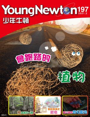 少年牛頓雜誌2021年2月號NO.197
