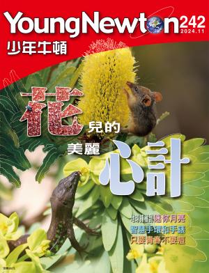 少年牛頓雜誌2024年11月號NO.242