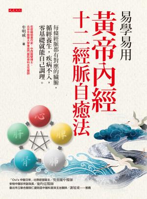 易學易用黃帝內經十二經脈自癒法