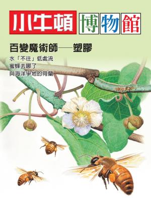 小牛頓博物館：百變魔術師—塑膠