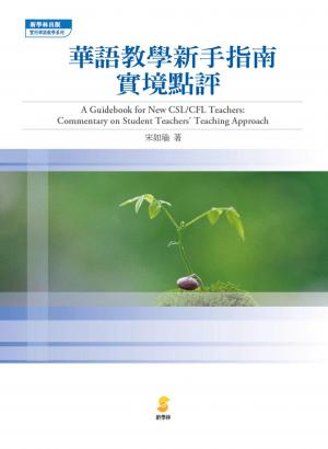華語教學新手指南：實境點評