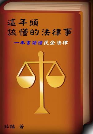這年頭，該懂的法律事   一本書讀懂民企法律