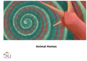 Animal Homes 英語有聲繪本