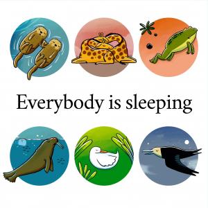 Everybody is Sleeping 英語有聲繪本