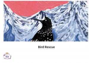Bird Rescue 英語有聲繪本