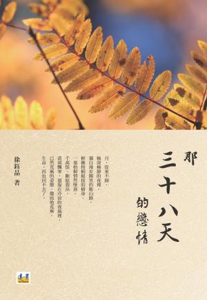 那三十八天的戀情