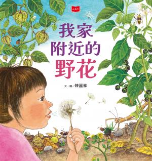 我家附近的野花